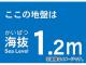 ȥ饹滳 ȴƥå 1.2m TKBS-12(4876822) JAN4989999362237