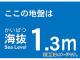ȥ饹滳 ȴƥå 1.3m TKBS-13(4876831) JAN4989999362244