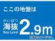 ȥ饹滳 ȴƥå 2.9m TKBS-29(4876997) JAN4989999362404