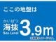 ȥ饹滳 ȴƥå 3.9m TKBS-39(4877098) JAN4989999362503