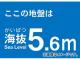 ȥ饹滳 ȴƥå 5.6m TKBS-56(4877268) JAN4989999362671