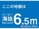 ȥ饹滳 ȴƥå 6.5m TKBS-65(4877357) JAN4989999362763
