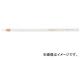 ե ѥեȥ顼ɮ  SC10-3W(8185637) 1PK(3)