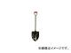 ṩ/ASAKA SP٥ 31(3820017) JAN4960517000039