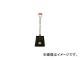 ṩ/ASAKA SP٥ 1034(3820106) JAN4960517001036