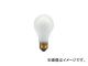ϥߥƥå/HATAYA ѿŵ 100V 100W (CM-Gϥɥ) AS100(2973871) JAN4930510310077