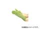 /YOSHINO ߥɥѥ(ͥߥɼȥѱݤθ) YST3L(3517527) JAN4571163730654