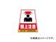 DICץ饹å  Хѥǥ󥷡Ƭա DS5(2920913) JAN4968838000172