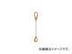 ݰ֥å/ELEPHANT 󥹥(ԥ󥿥)1ߤꡦ2t 1SH8(3901891) JAN4937510840030