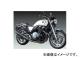 ƥå ޥե顼(ݡ) 󥿥IIեEX4-1 ȥ졼ȥ P043-9065 ܥ ۥ CB1100 SC65 2009ǯ