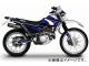 MDF åץ꡼ ֡P056-0645 ֥롼 ޥ 225 1997ǯ2004ǯ JAN4580394152128
