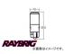 쥤֥å/RAYBRIG LED T10 å١ 顼Х 12V 0.2W (ۥ磻) RC12