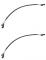 ե饤(Spherelight) HIDѡ ⰵץ顼Ĺ֥ 50cm 1å(2) SHGLCHP18