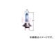 쥤֥å/RAYBRIG إåɥסʥϥӡѥХ ۥ磻ȥ˥åS H7 RA73 2 Х 륯饫 2010ǯ04