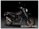 襷 ޥե顼 ʥ󥵥 GP-MAGNUM 110-406F8U50 TS/FIRE SPECʥƥ쥹С ۥ Ape100 Type-D 2008ǯ2010ǯ